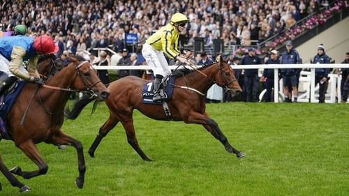 Racehorses with jockeys compete on a green track in front of a crowd.