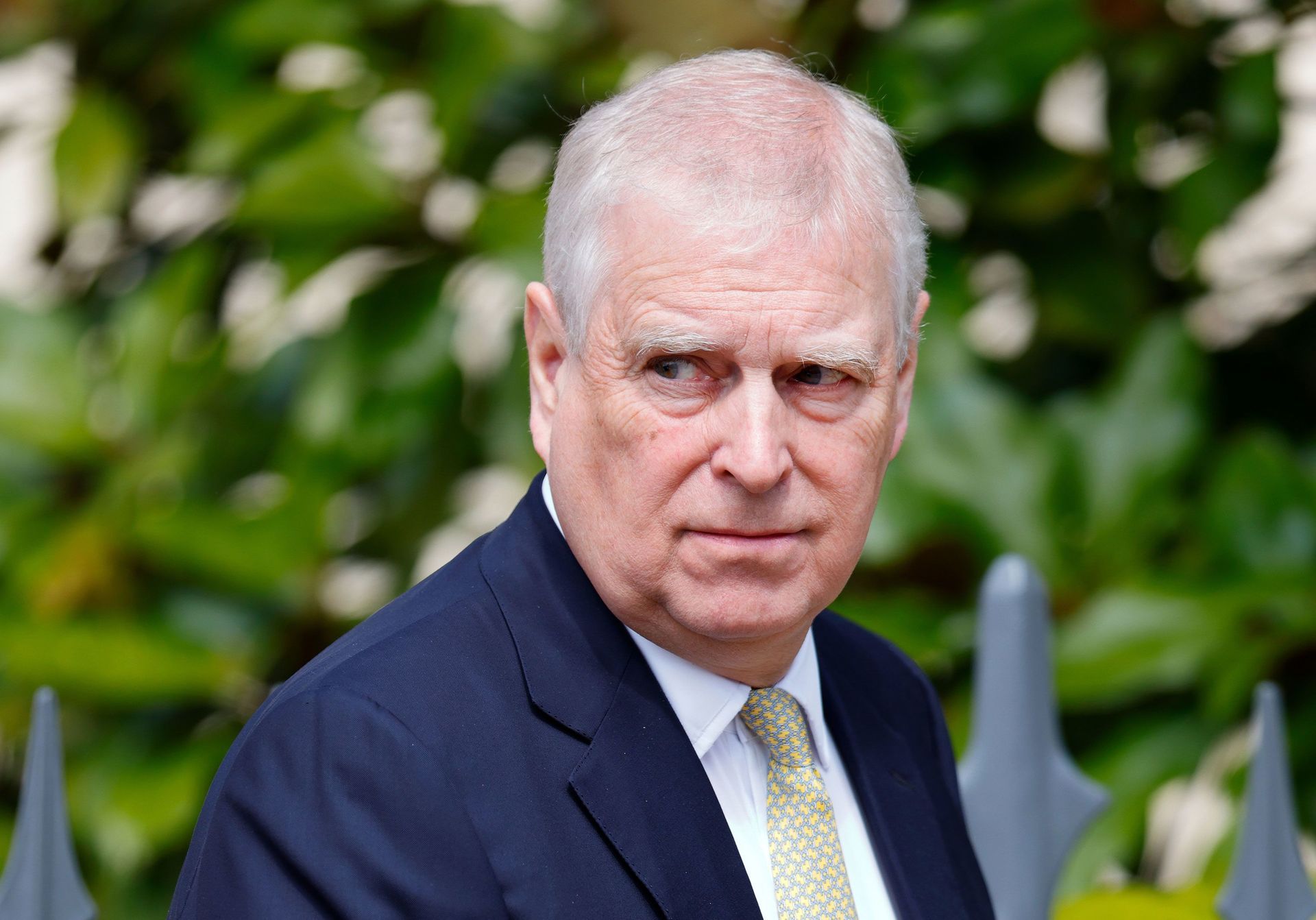 Prince Andrew in a navy suit and patterned tie, looking to the side with a serious expression, near foliage.