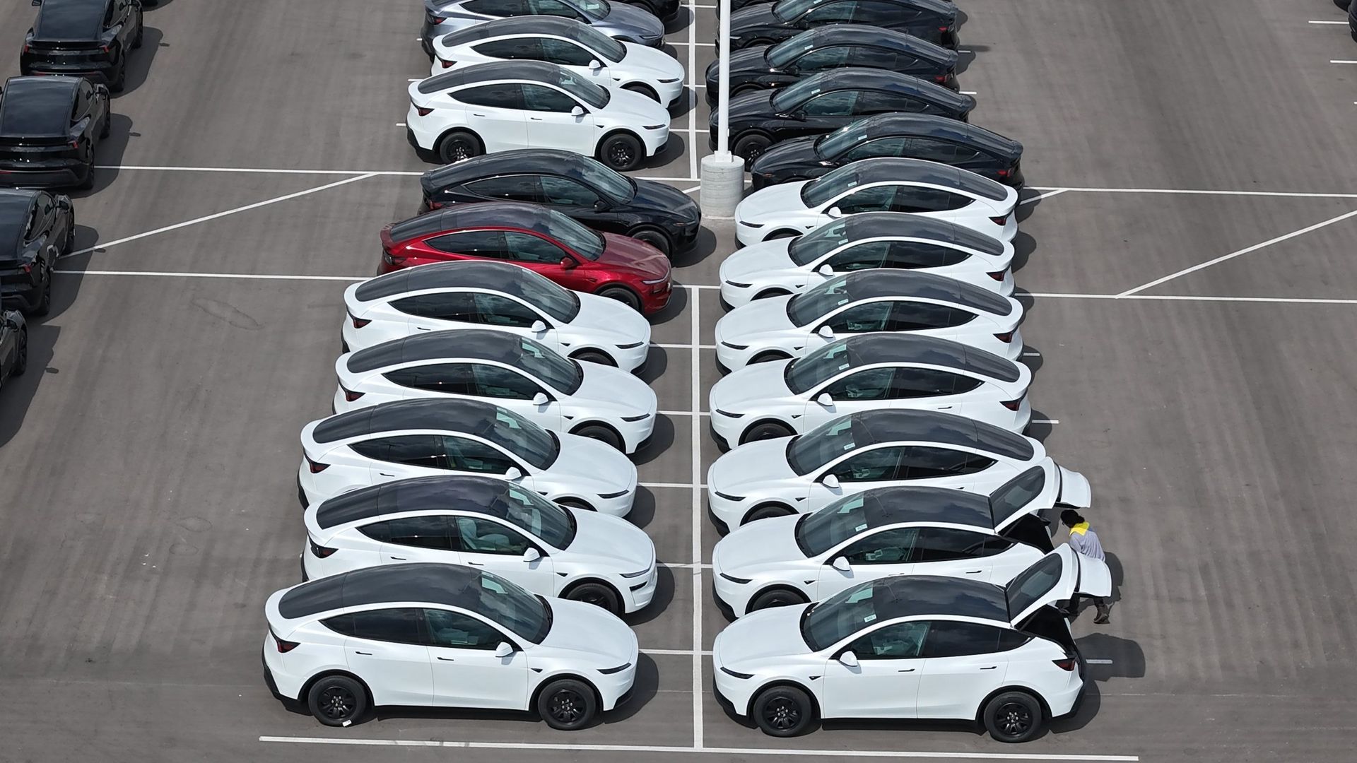 Rows of white and dark cars parked in an outdoor lot, a few are red.