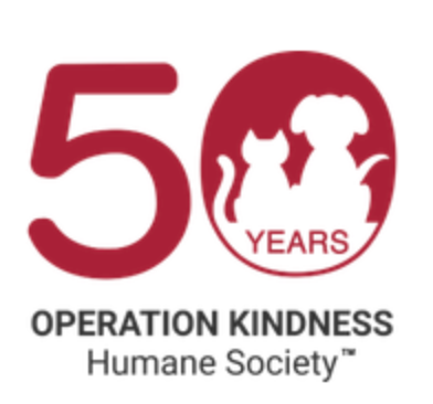 Person in black gloves polishing a white car with a yellow applicator in a well-lit setting.