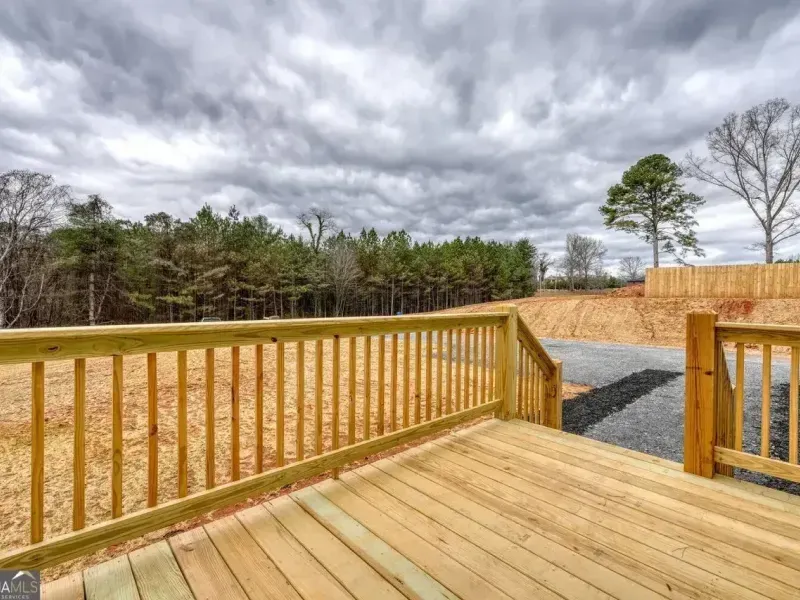 A wooden deck overlooks a grassy backyard with a tree line under a cloudy sky.
