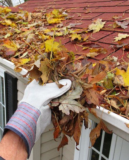 A person is holding a bunch of leaves in a gutter.