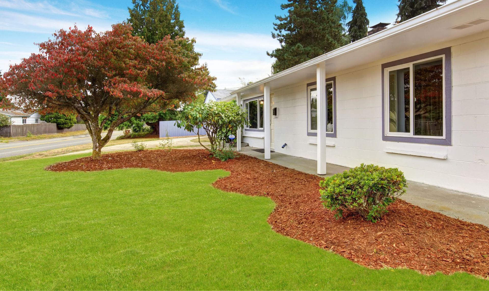 White house with a red-leaved tree, green lawn, and wood chip landscaping.