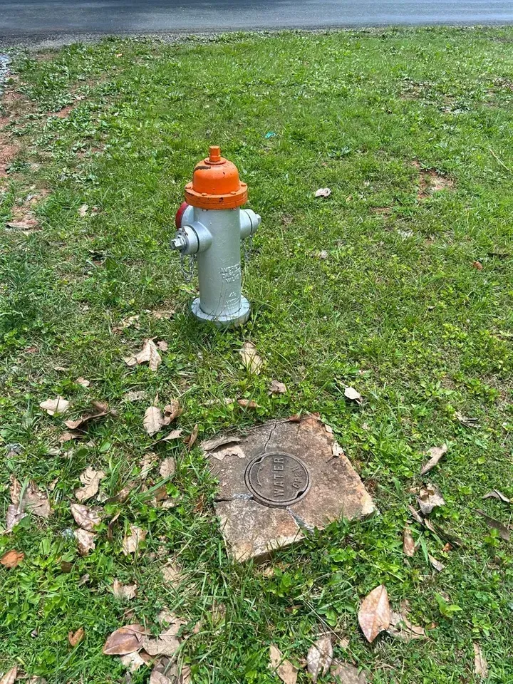 A silver fire hydrant with an orange cap sits on a patch of grass next to a square metal utility cover.