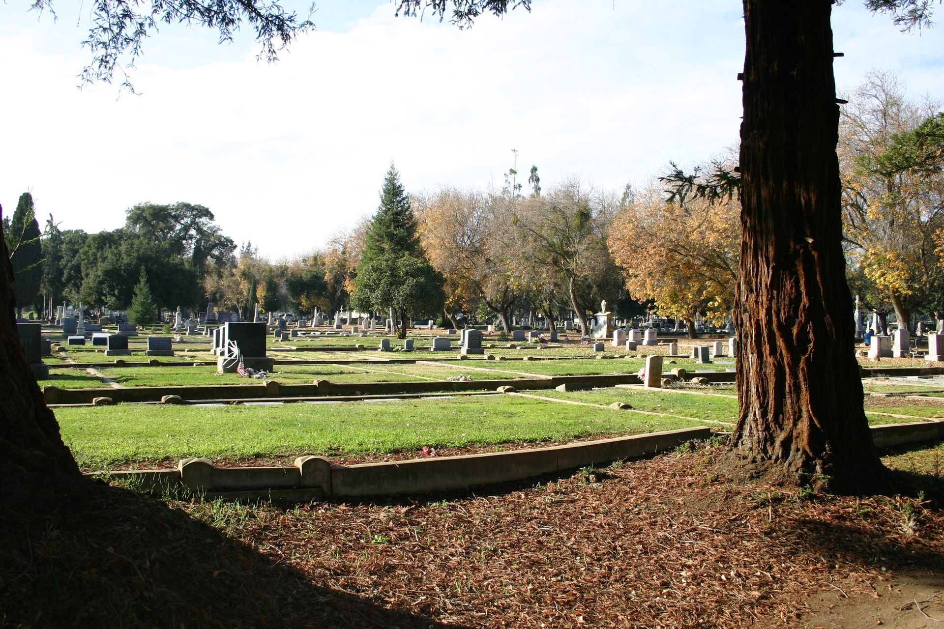 Cemetery with headstones on grassy plots, surrounded by trees with brown leaves, under a bright, sunny sky.