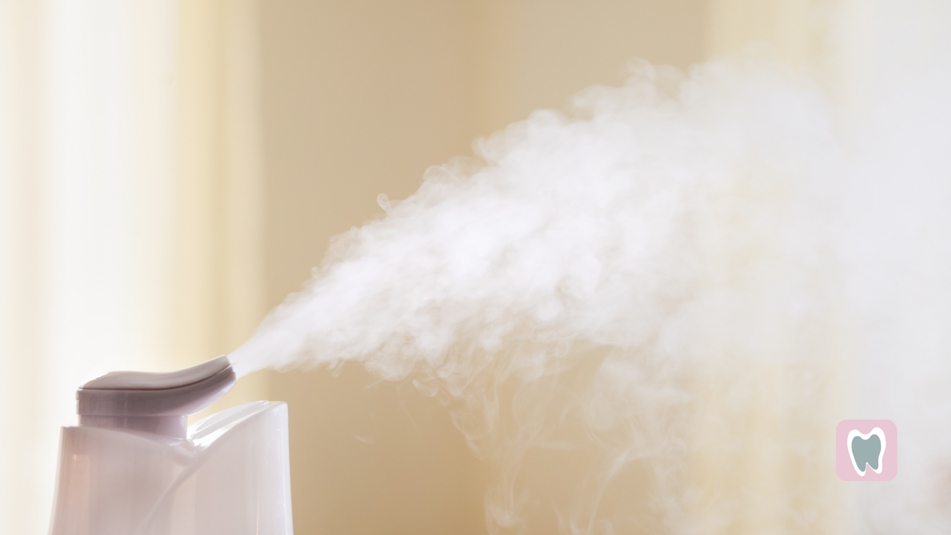 A close up of a humidifier spraying steam into a room.