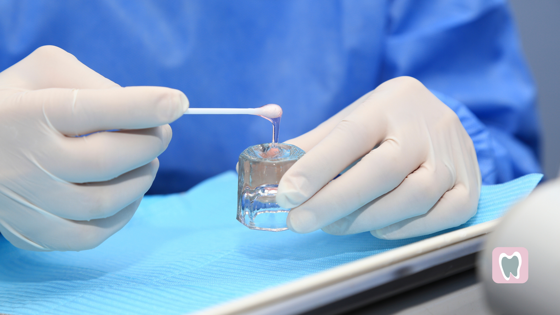 A dentist is holding a tooth model and a cotton swab.