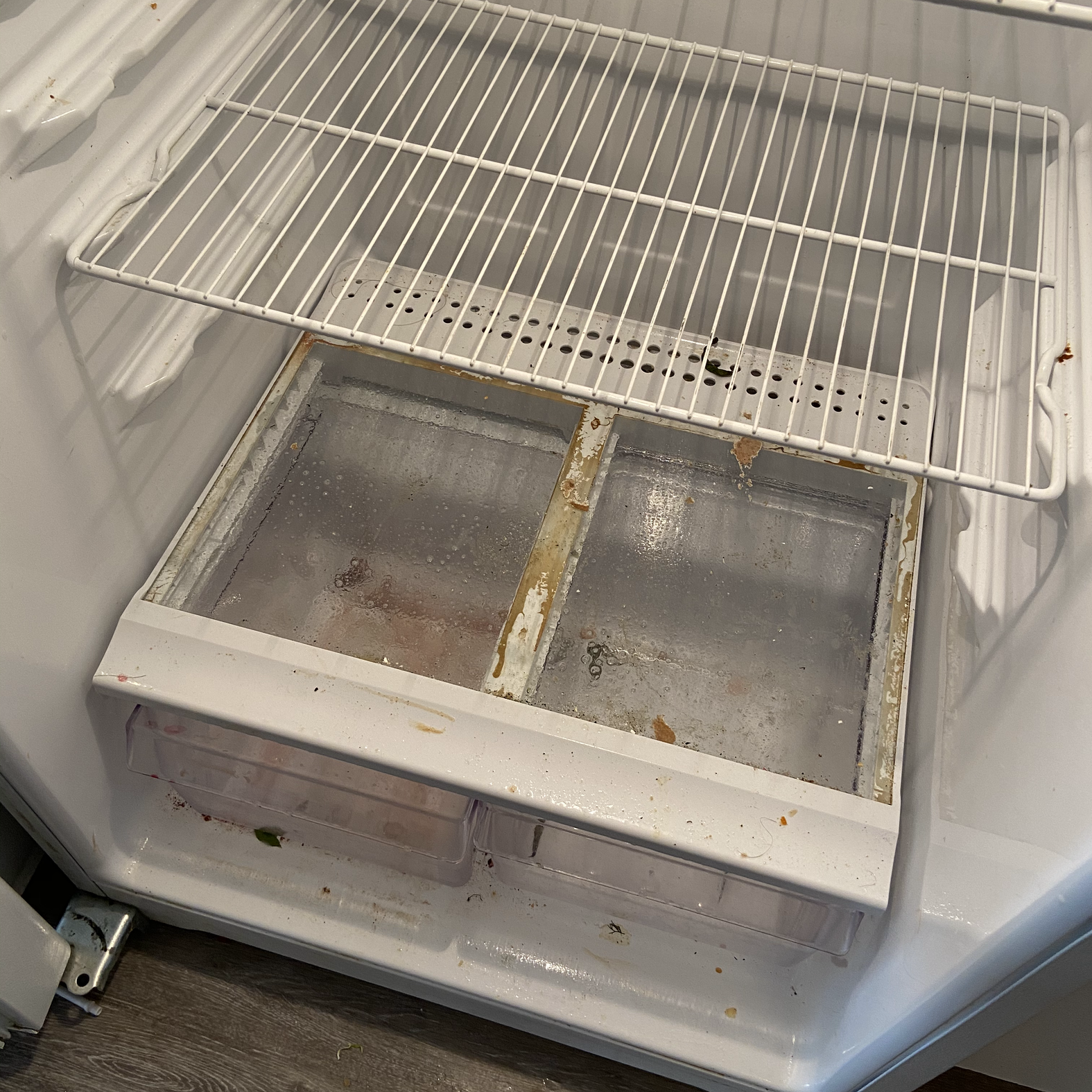 The inside of an empty refrigerator with a dirty drawer underneath the shelf.