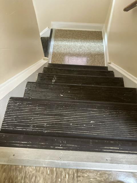 A set of stairs leading up to a carpeted floor.