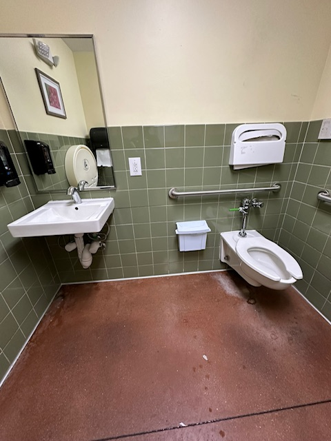 A bathroom with a sink , toilet and mirror.