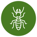 Termite Control Icon