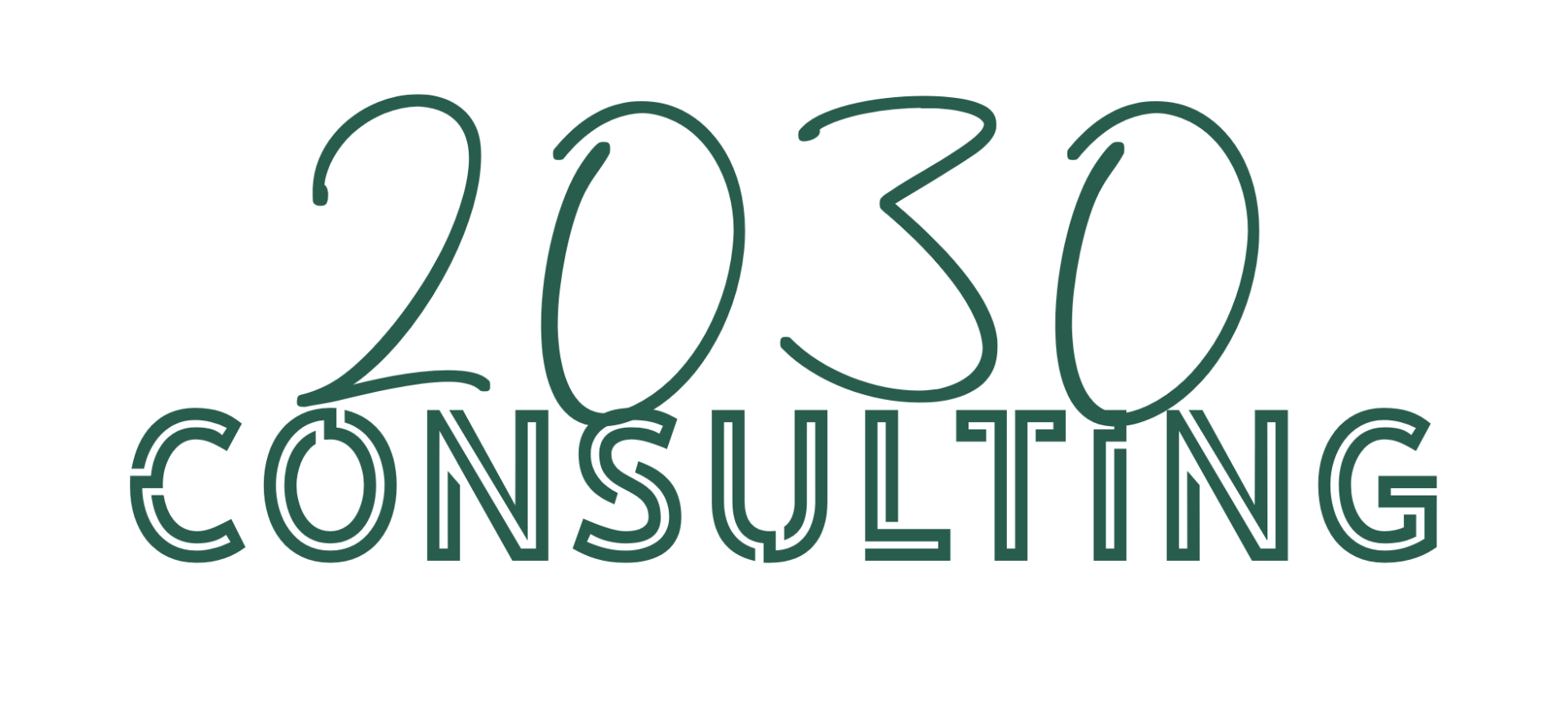 2030 Consulting
