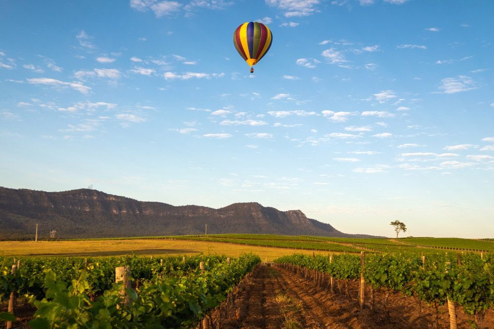 Hot Air Balloon Drifting Past a Vineyard in The Hunter Valley — Communication Systems in Hunter Valley, NSW