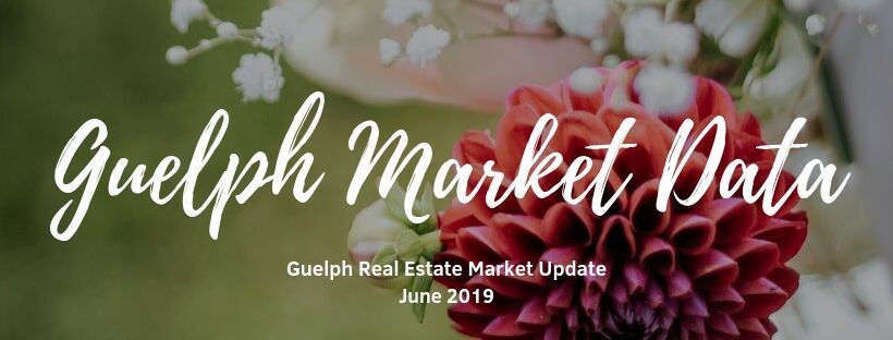 A picture of a red flower with the words `` gulfph market data '' written on it.