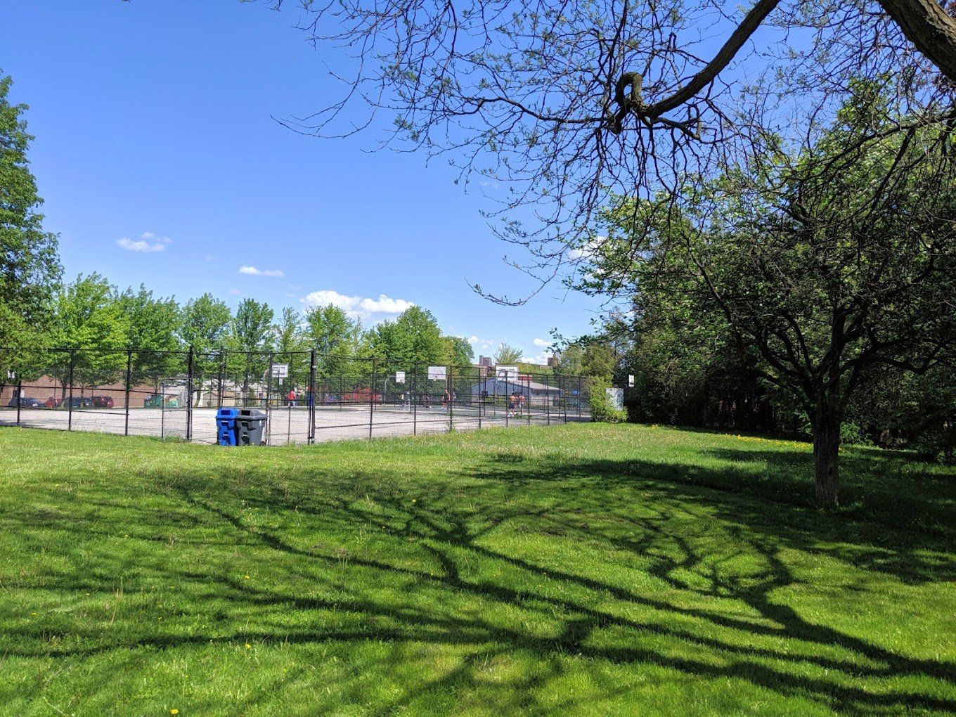 A park with a basketball court in the background and trees in the foreground