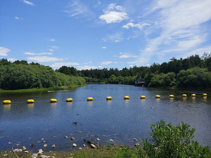 A large body of water with yellow buoys in it
