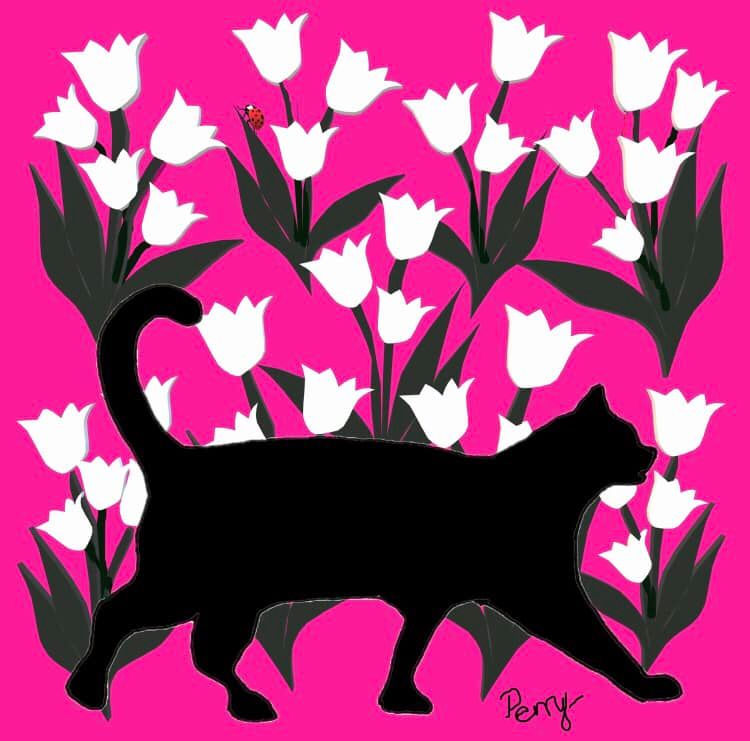 A black cat is walking through a field of white tulips