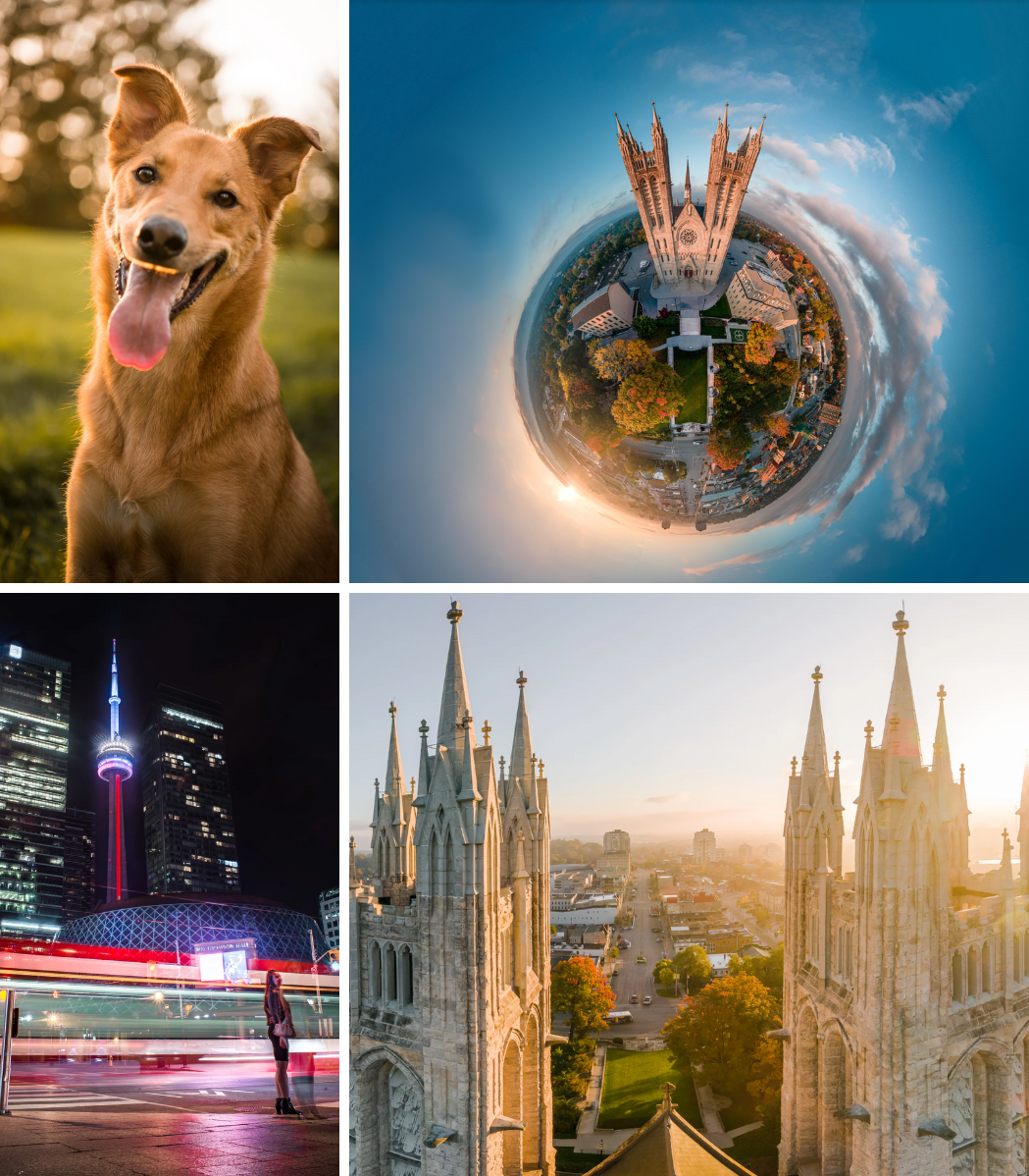 A collage of photos shows a dog a small planet and a church