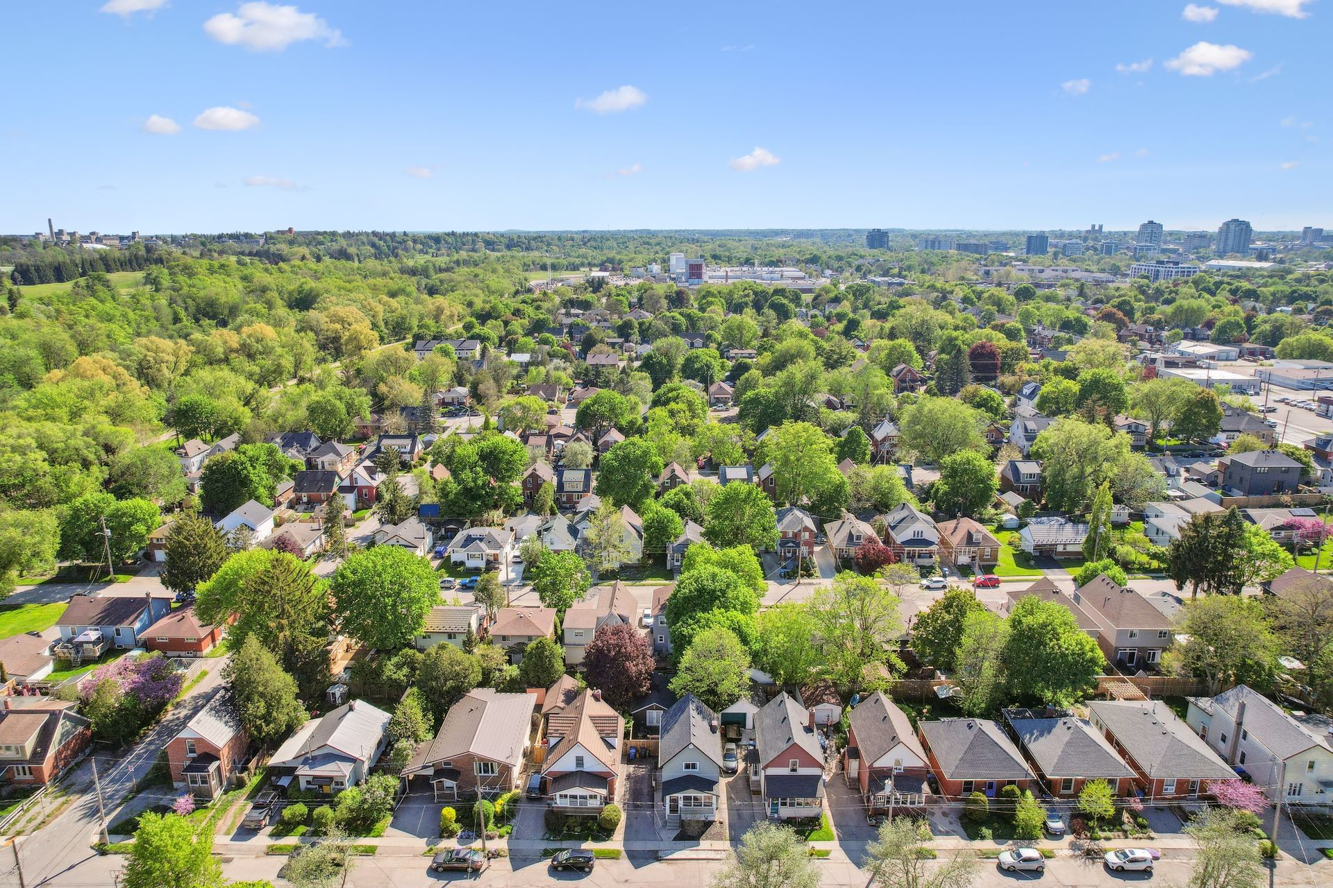 Aerial view of Guelph's St Patrick's Ward neighbourhood