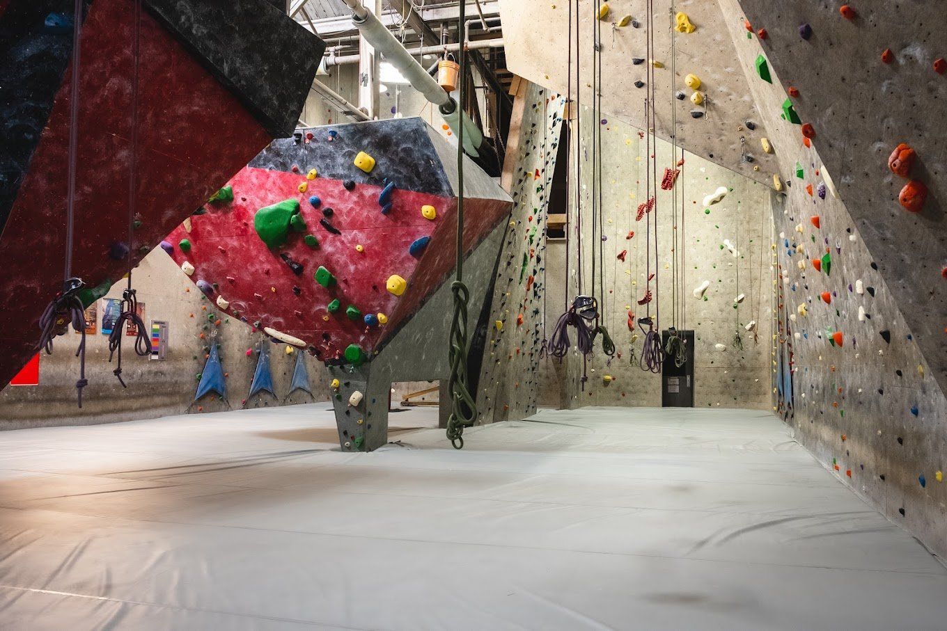 A climbing wall with a lot of ropes hanging from it