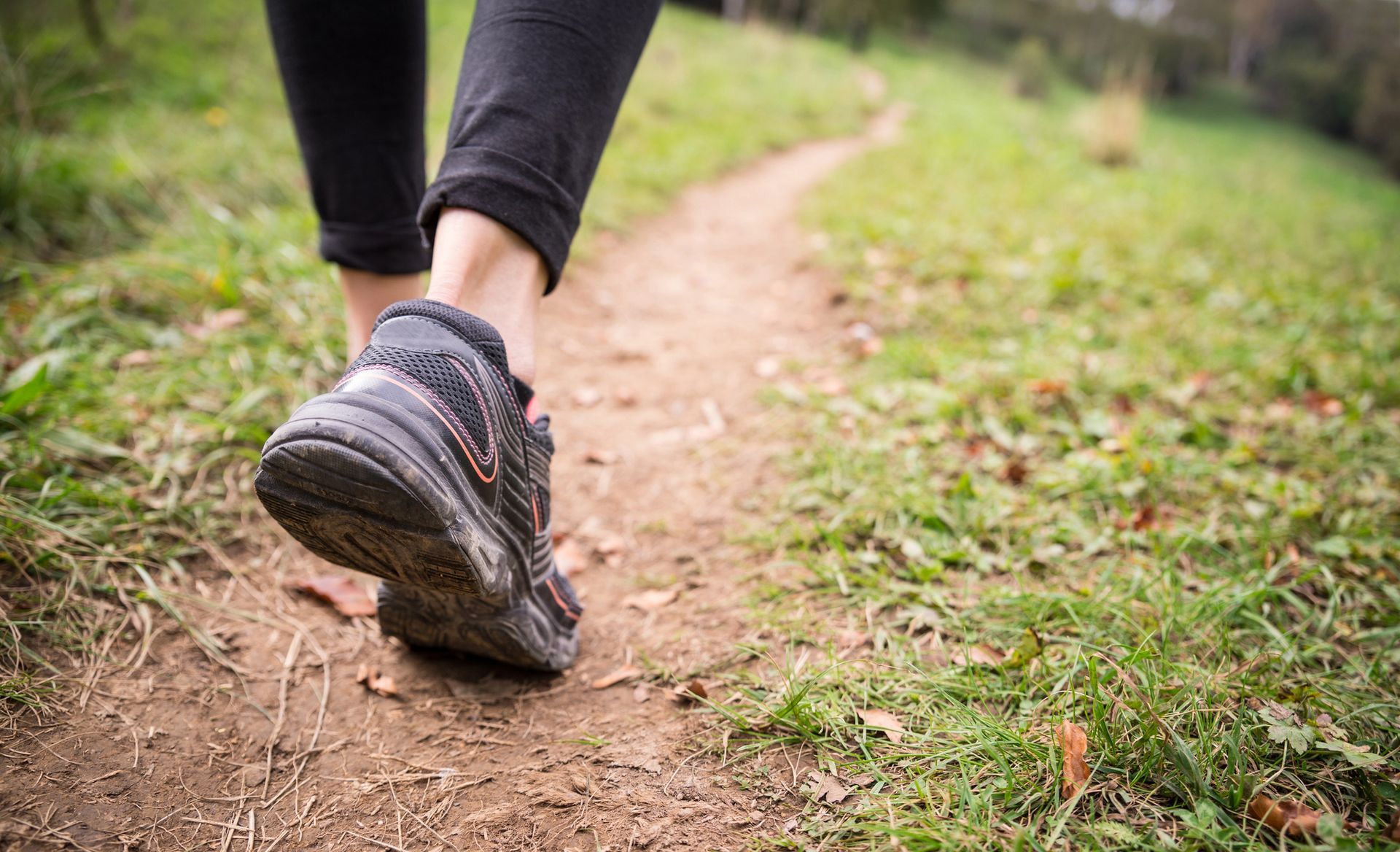 A person is walking down a dirt path in a park.