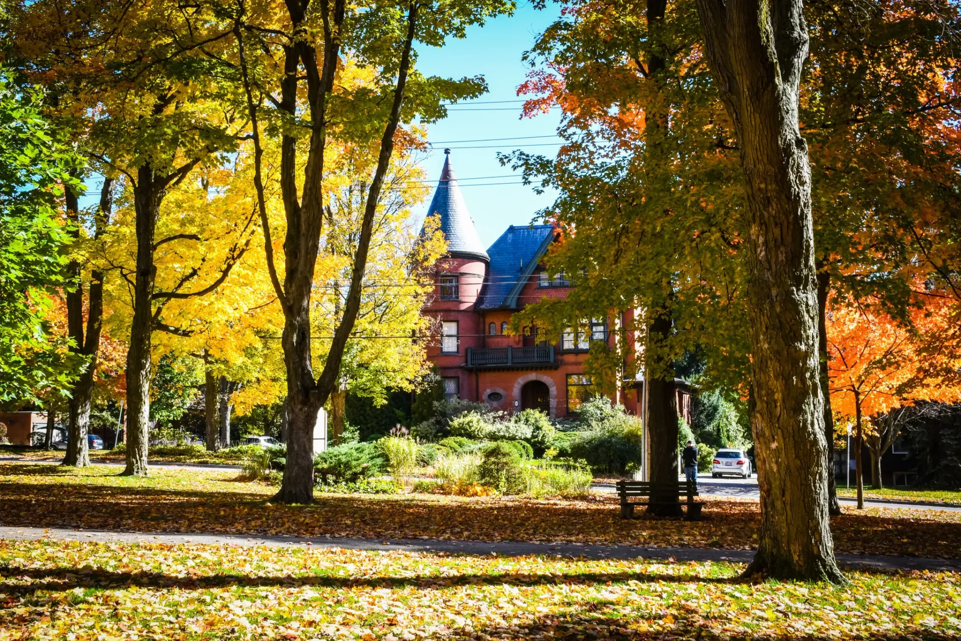 A large building is surrounded by trees and leaves in a park.