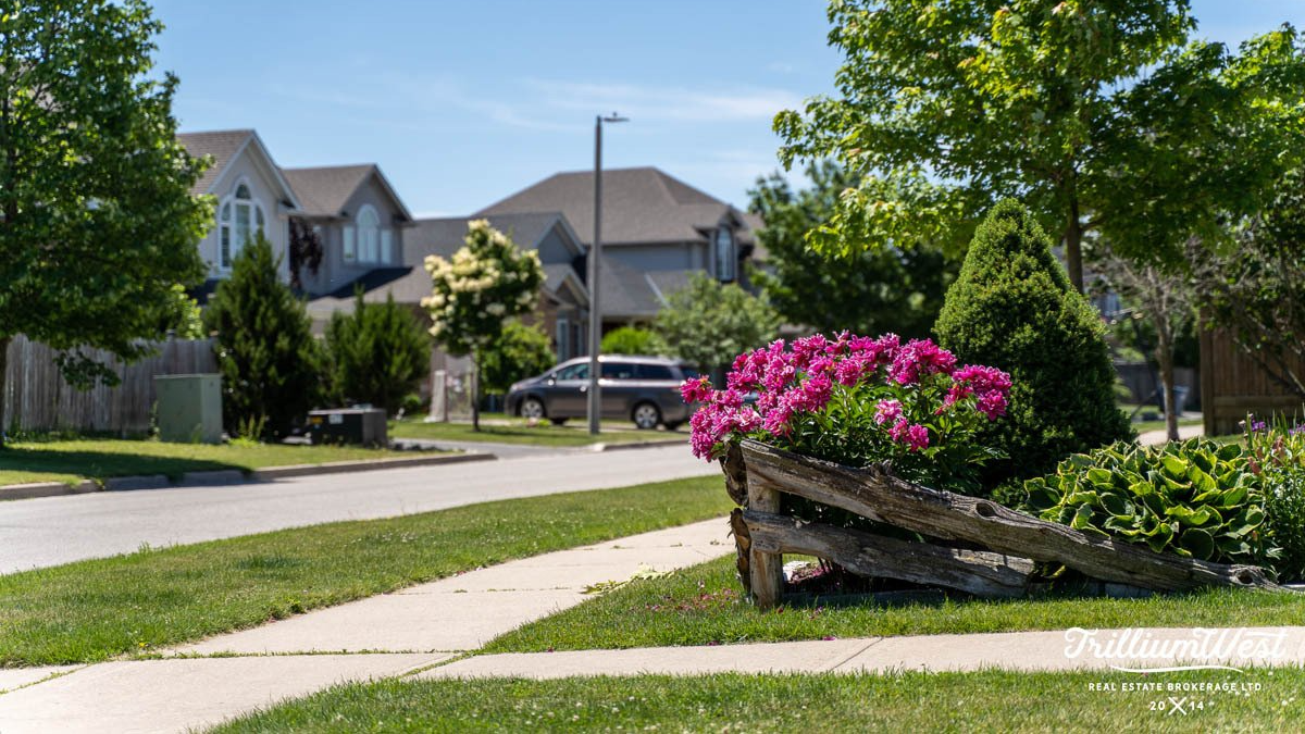 A wooden fence with pink flowers in it is in the middle of a residential neighborhood.