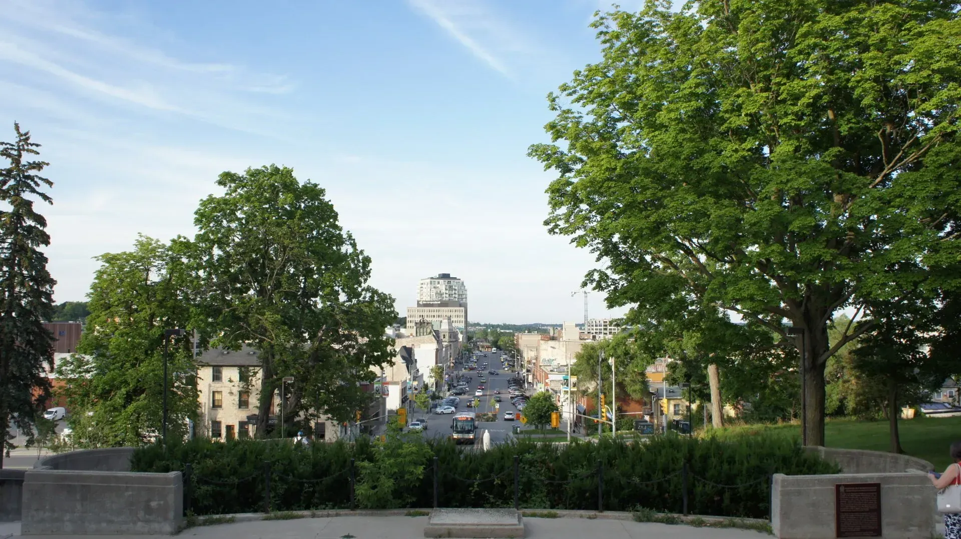 A view of a city from a park with trees and bushes