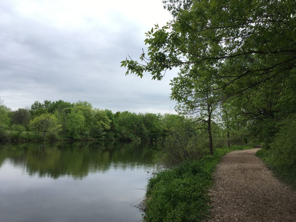 A path leading to a lake surrounded by trees on a cloudy day.