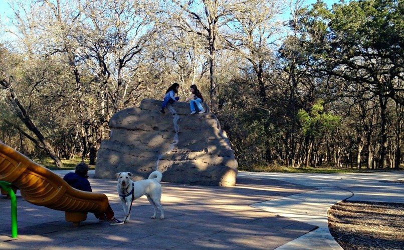 A man and a woman are sitting on a rock with their dogs in a park.