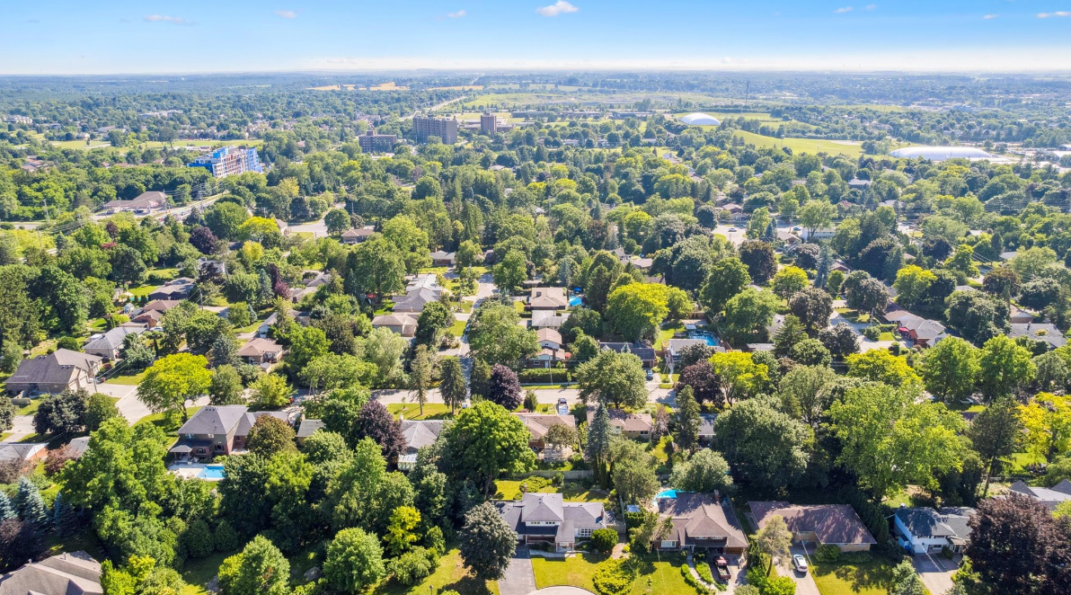 Aerial view of a residential neighbourhood, dense with trees and houses under a bright blue sky.