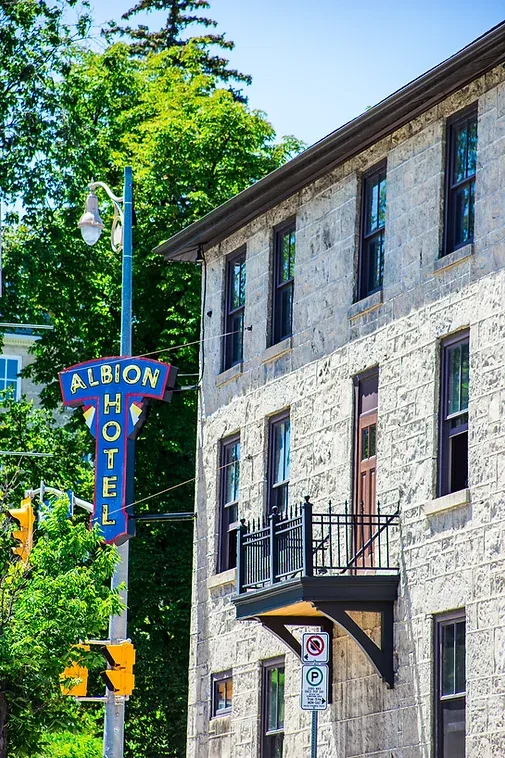 A building with a sign that says albion hotel on it