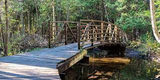 A wooden bridge over a river in the woods.