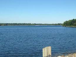 A large body of water surrounded by trees on a sunny day.
