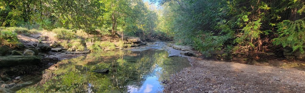 A river surrounded by trees and rocks in the middle of a forest.