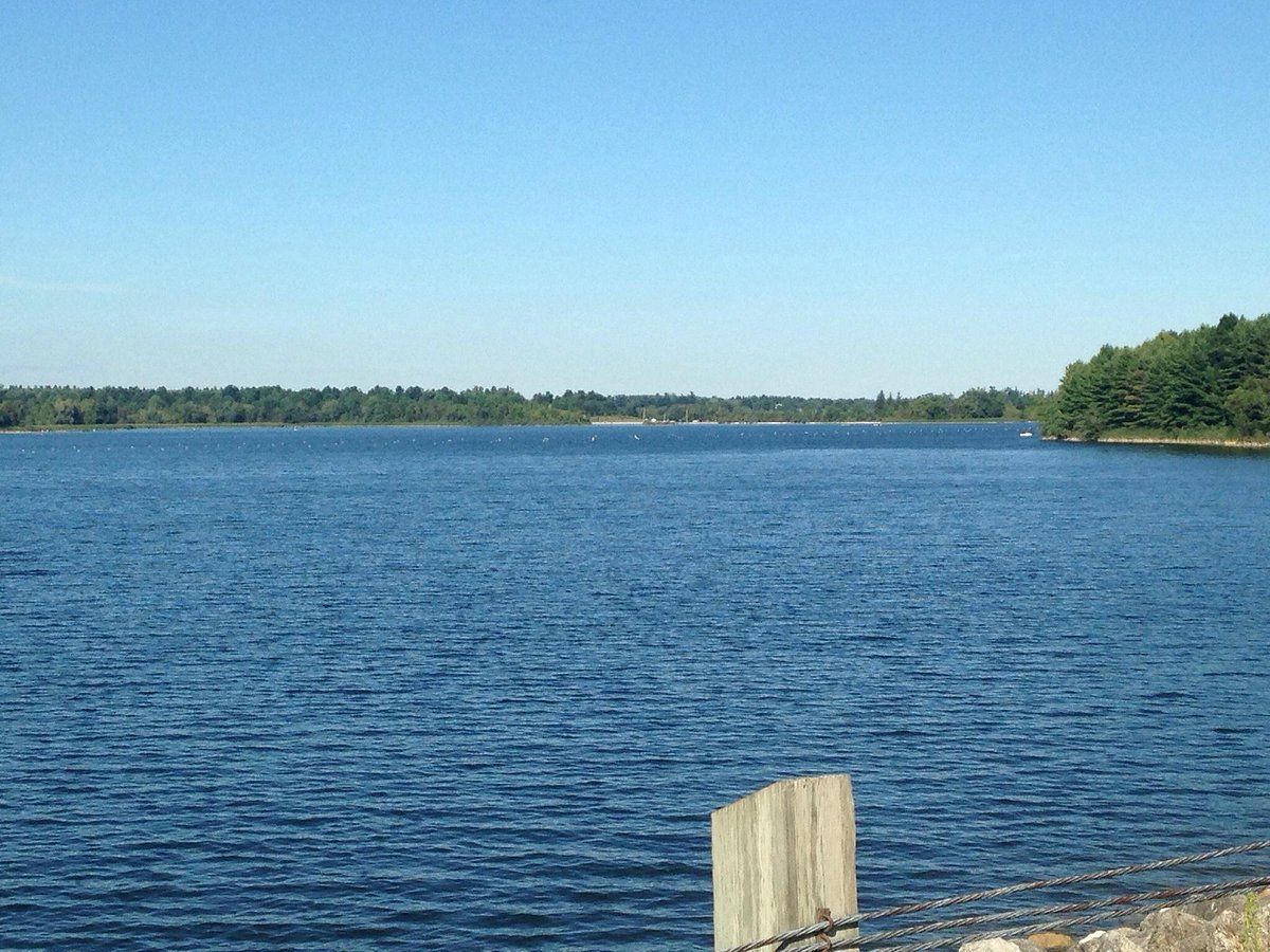 A large body of water surrounded by trees on a sunny day.
