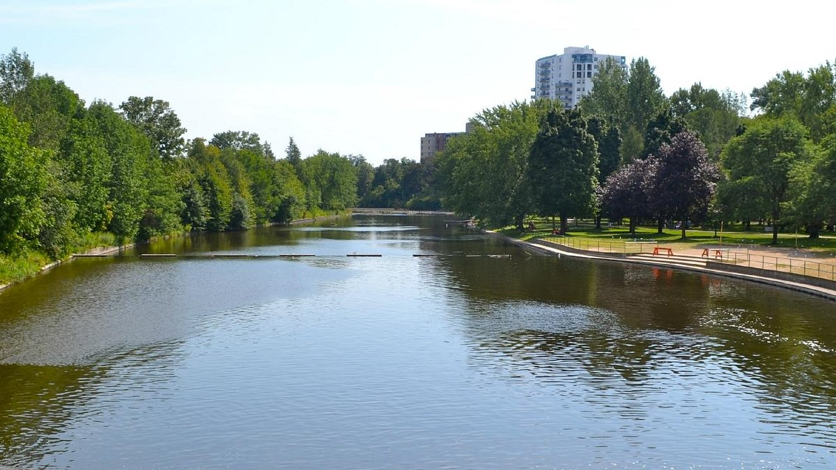 A large body of water surrounded by trees on a sunny day
