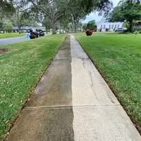 Cracked sidewalk running through a green suburban neighborhood with houses and trees nearby