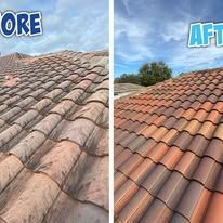 Split-view roof tiles before and after cleaning: gray, mossy tiles become clean terracotta red.