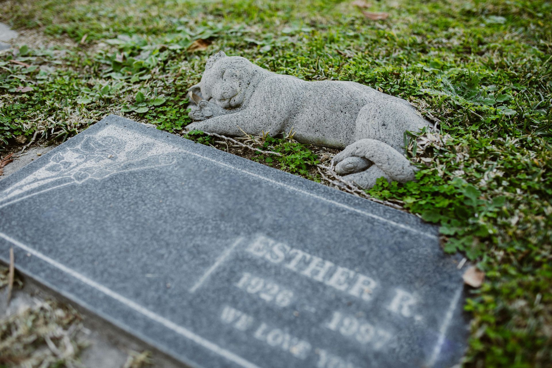 Pet Memorial Stones