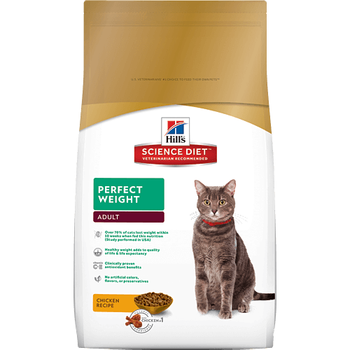Cat Food to Gain Weight — Austin, TX — Pet and Bird Clinic