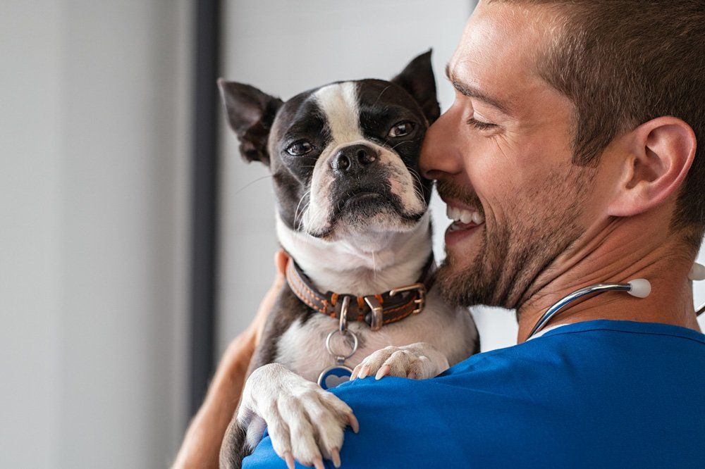 Veterinary Carrying Dog — Austin, TX — Pet and Bird Clinic