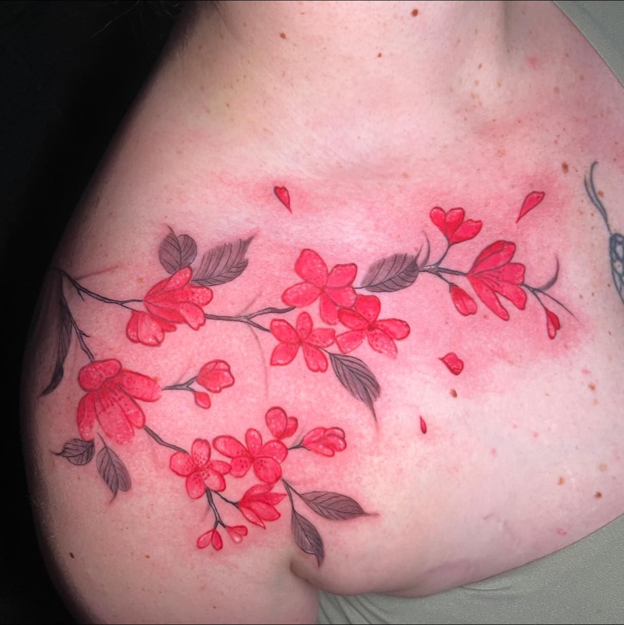 A tattoo of red cherry blossoms on a dark, leafy branch across a person's upper chest and collarbone area.