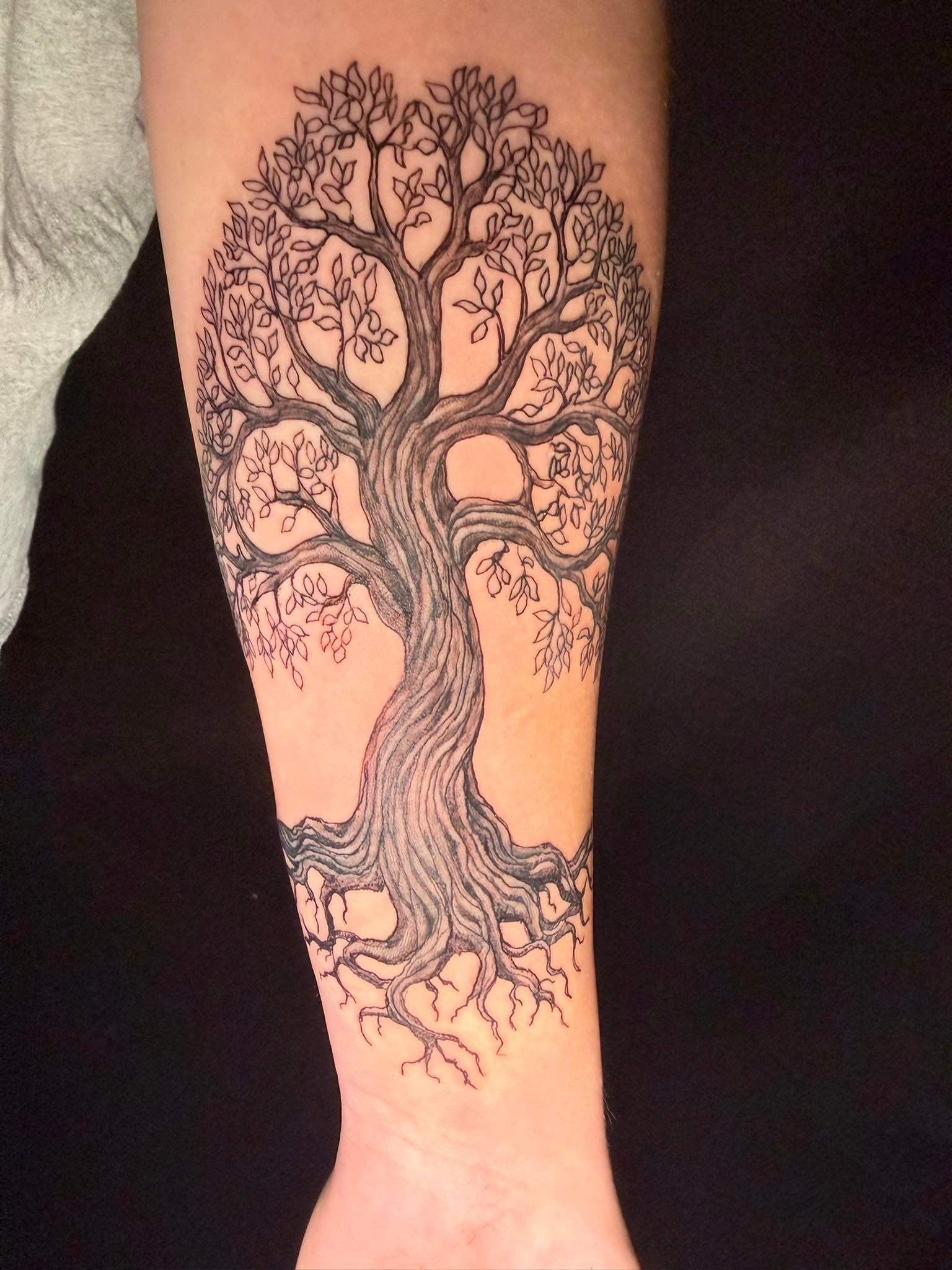 A black ink tattoo on a forearm depicting a detailed tree with intricate branches and exposed roots.
