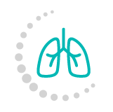 Supports lung function and cardiovascular health - Health Energies Vaughan