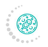 Enhanced cellular response - Health Energies Vaughan