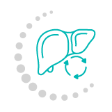 Detoxification -  Health Energies Vaughan