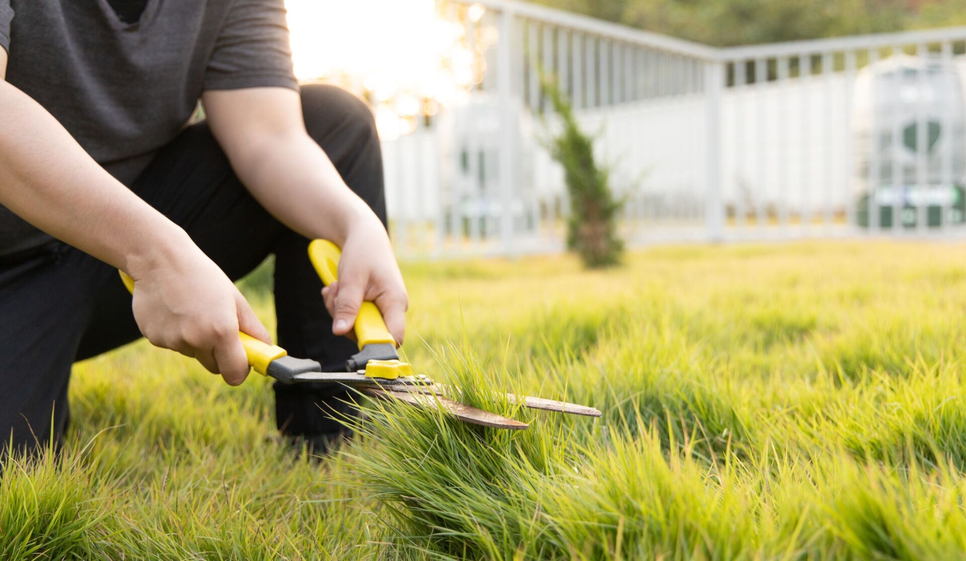 A man is kneeling down and cutting grass with a pair of scissors.