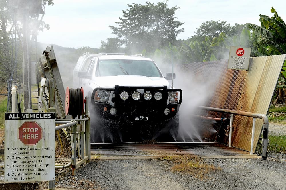 Water Blasting White Ute — Advanced Auto Electrics & Mechanical in Mission Beach, QLD