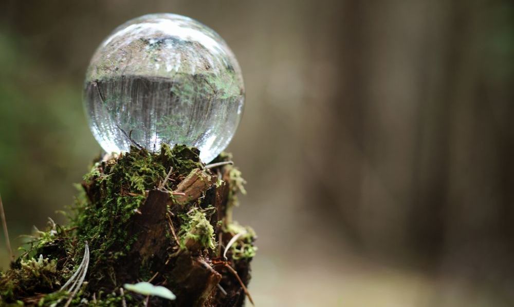 A Clear Glass Ball is Sitting on Top of a Moss Covered Stick — Angel of Light Nick Turner In East Lismore, NSW